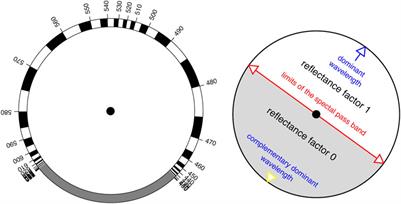 RGB Colors and <mark class="highlighted">Ecolog</mark>ical Optics